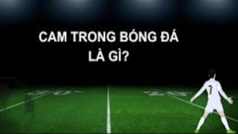 Vai trò cốt lõi của một hộ công thực thụ