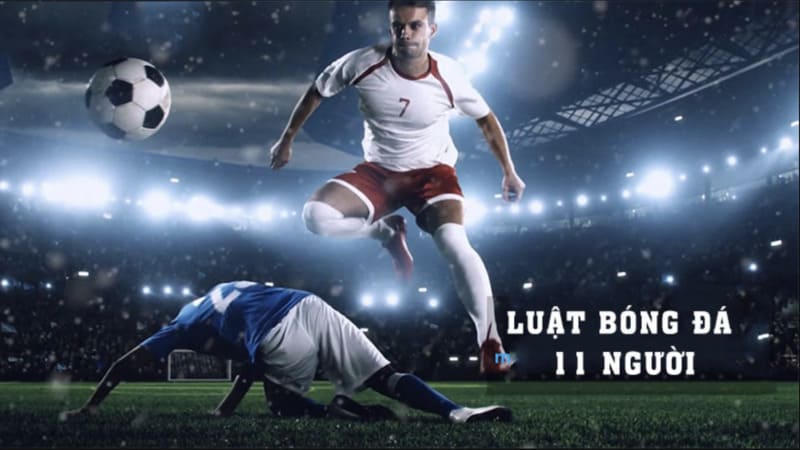 Tầm quan trọng của việc hiểu luật đối với người hâm mộ