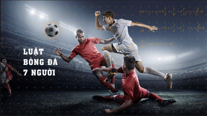 Tầm quan trọng của việc hiểu luật đối với người hâm mộ