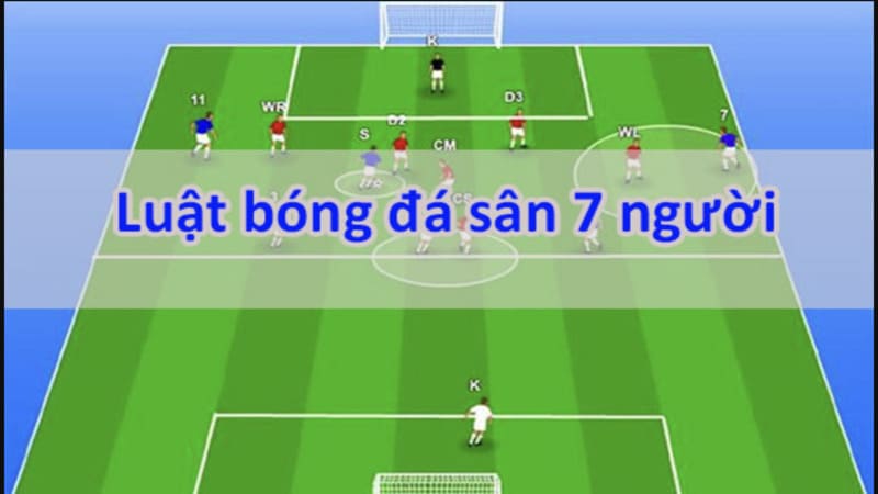 Khái niệm và đặc điểm của bóng đá 7 người