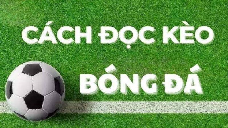 Cách Đọc Kèo Bóng Đá Và Cách Nhận Biết Kèo Dễ Thắng 3 Nghệ Thuật Đọc Kèo "Cơm Gạo"