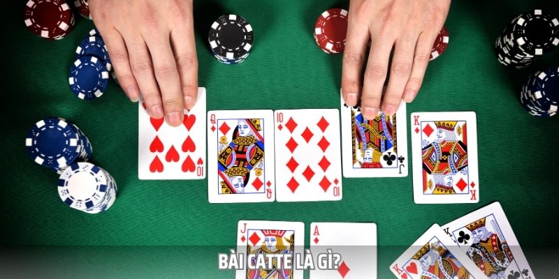 Tổng quan về tựa game Catte Sunwin